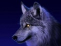   silverwolf